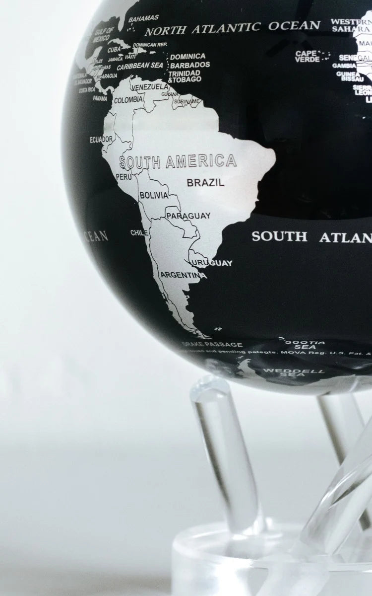 BLACK AND SILVER GLOBE