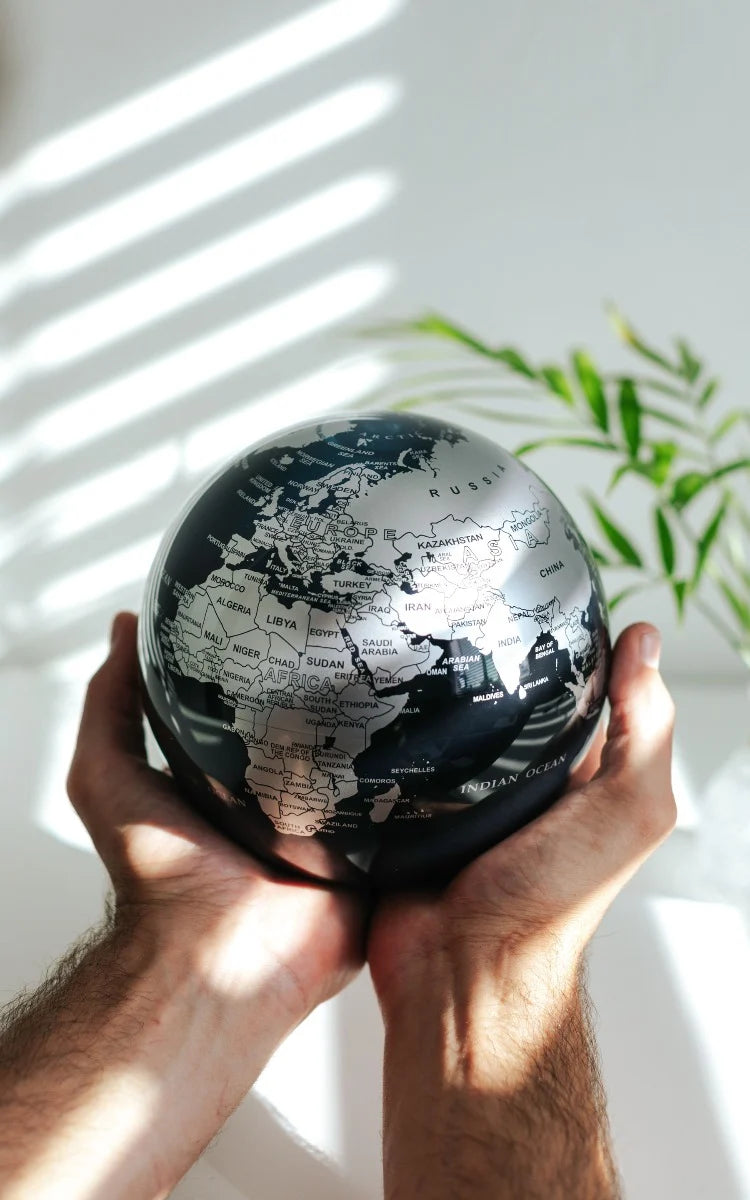 BLACK AND SILVER GLOBE